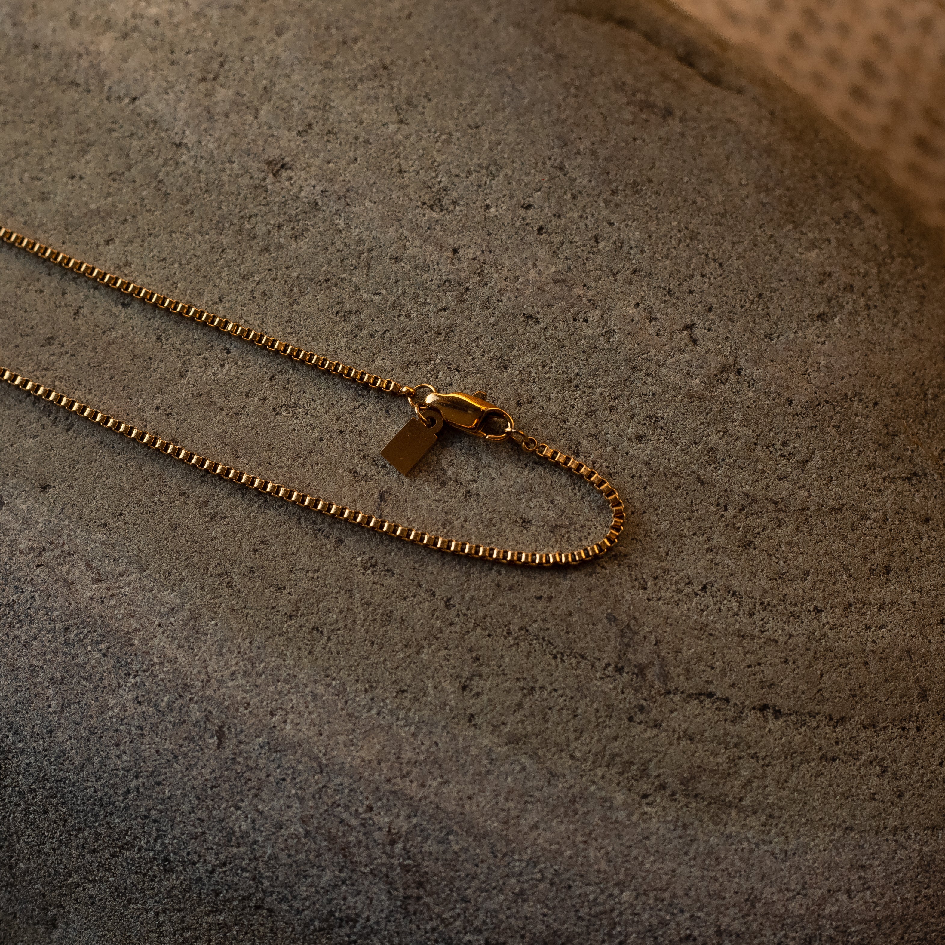 Collar Serpiente Solar