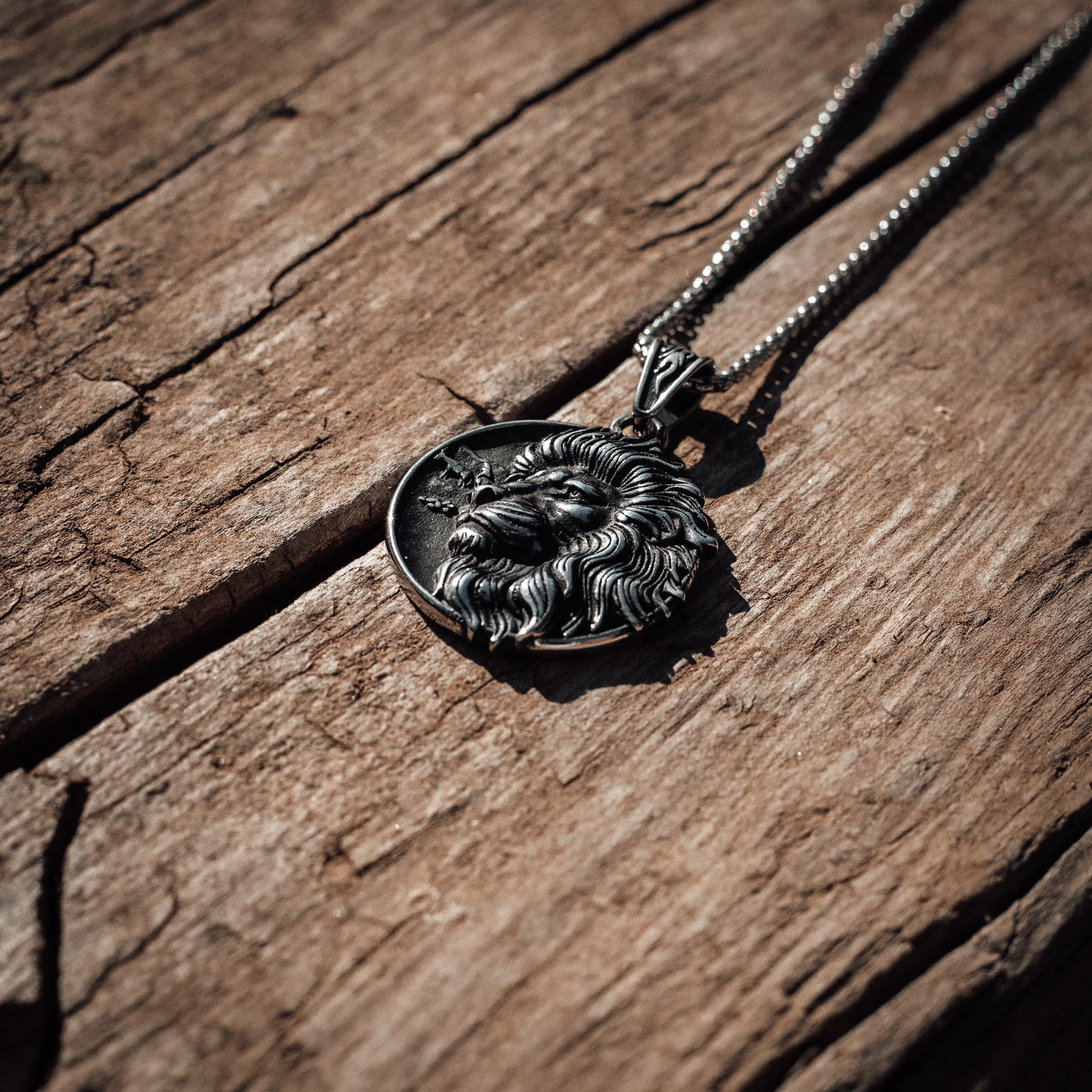 Collar medalla de rey león